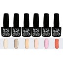 Lote de esmaltes semipermanentes 6 ml de 6 uds (21,22,23,24,25,29)