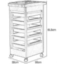 Carros de Mantenimiento para Peluquería, Barbería, Perfumería, Cosméticos, Salón, Tienda de Tatuaje, Manicura y Pedicura (NEGRO)