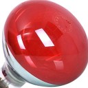 Bombilla infrarroja de calor, lámpara terapéutica portátil durable lámpara bombilla luz, 220V-275W