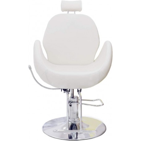 Sillón Profesional
