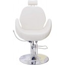 Sillón Profesional